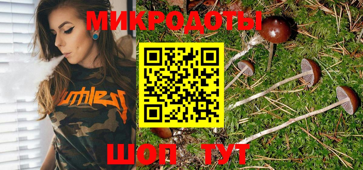 Псилоцибиновые грибы Cubensis Печора